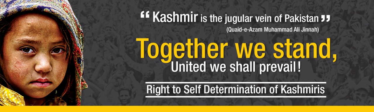 Kashmir Solidarity 2
